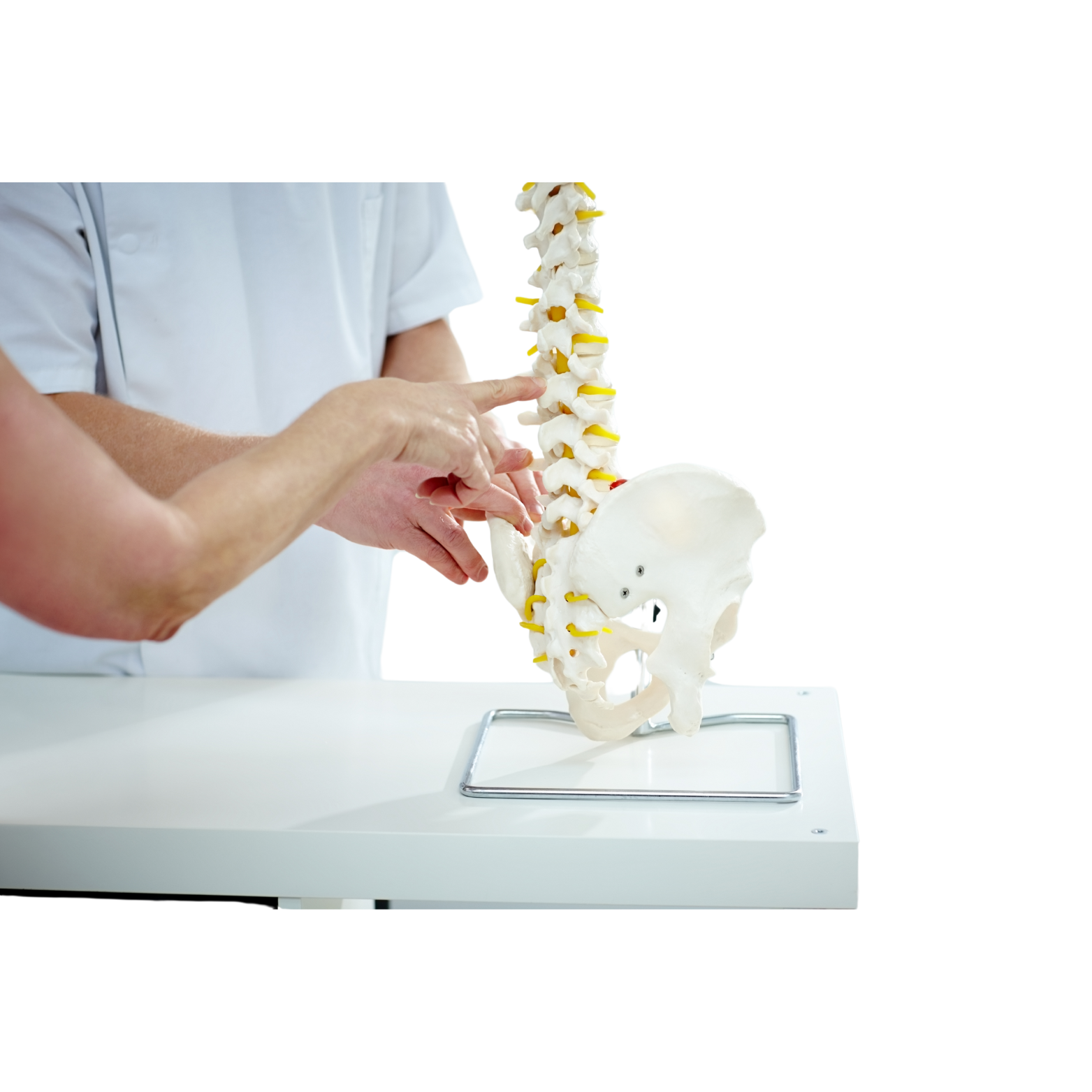 person holding black and yellow hand tool